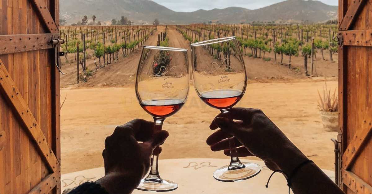 mexican-wine-tour